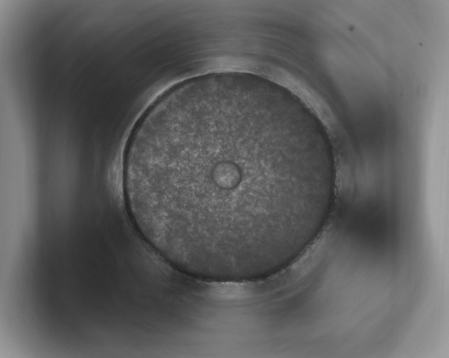 X0000102310836200808081604