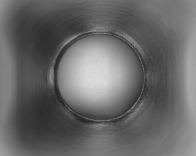 X0000102310838200808081604