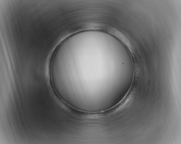 X0000102310843200808081604