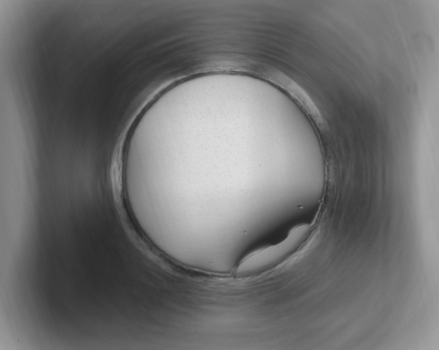 X0000102310844200808081604