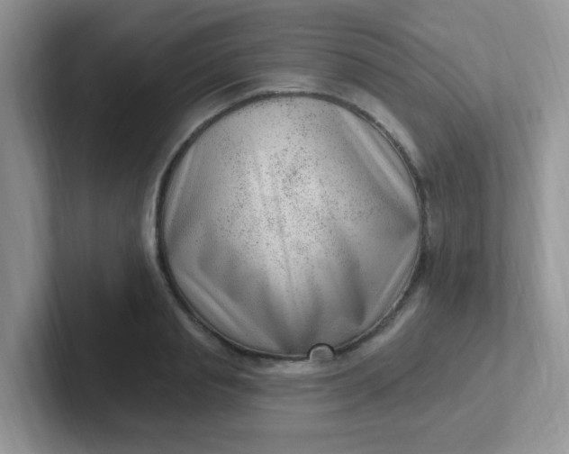 X0000102310845200808081604