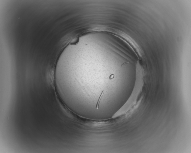 X0000102310849200808081604