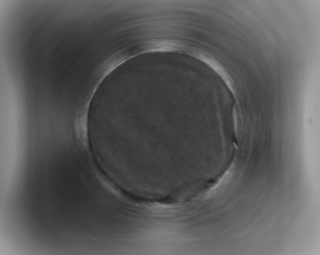 X0000102310850200808081604