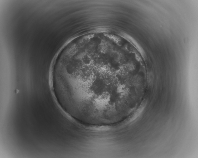 X0000102310851200808081604