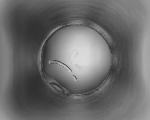 X0000102310852200808081604