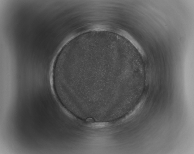 X0000102310853200808081604