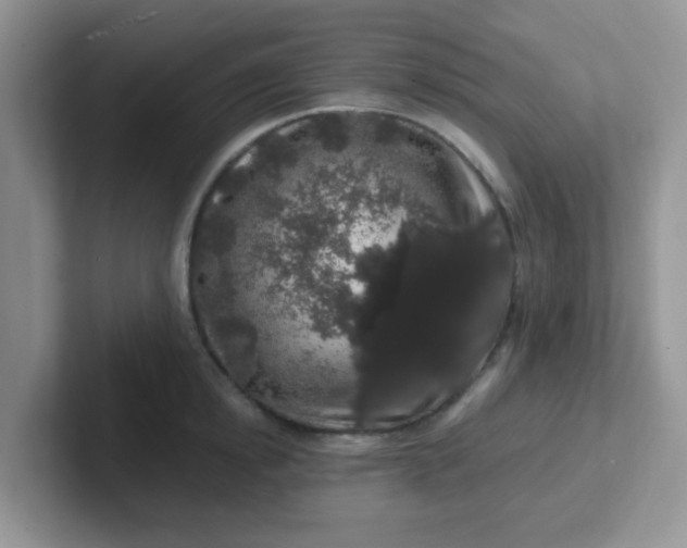 X0000102310854200808081604