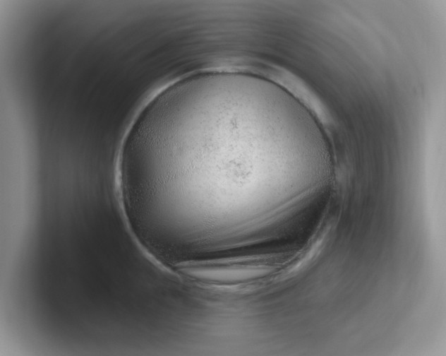 X0000102310855200808081604