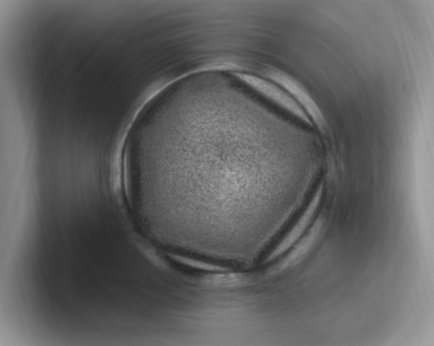 X0000102310858200808081604