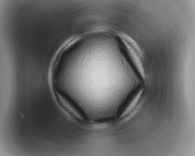 X0000102310859200808081604