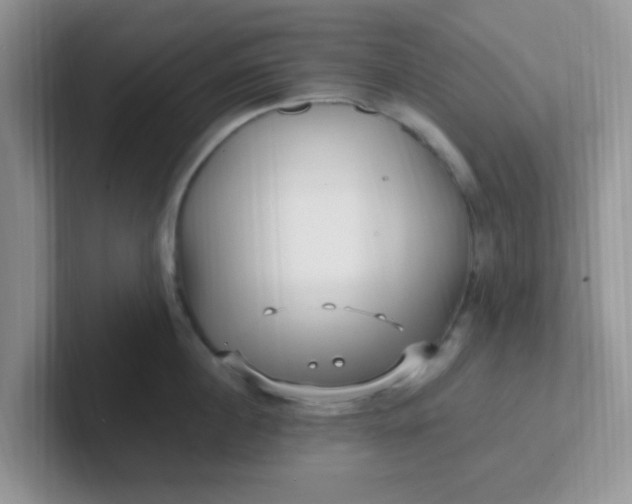 X0000102310860200808081604