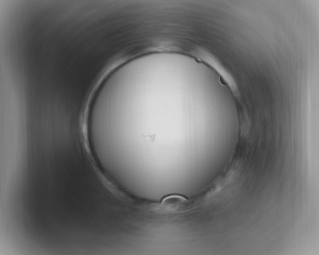 X0000102310861200808081604