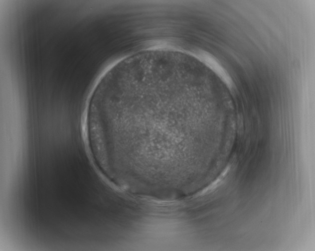 X0000102310863200808081604