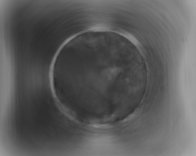 X0000102310864200808081604