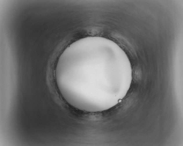 X0000102310865200808081603