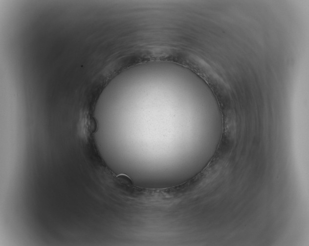 X0000102310866200808081603