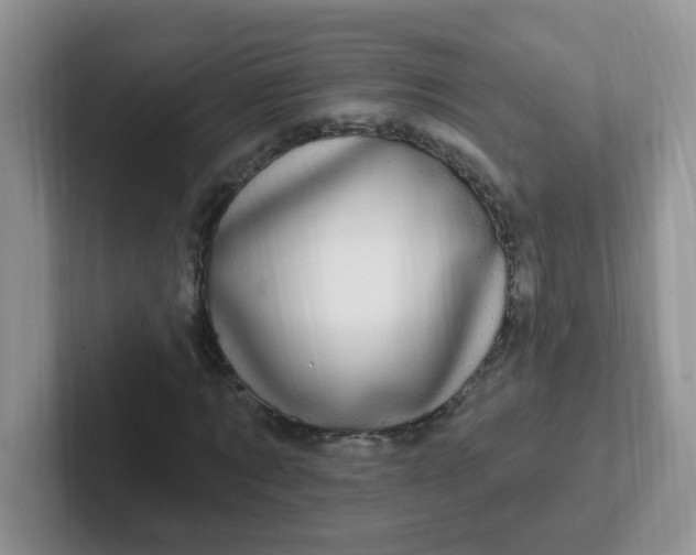 X0000102310869200808081603