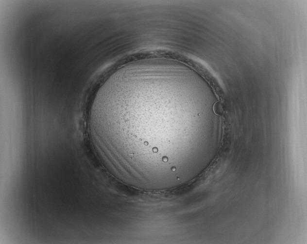 X0000102310871200808081603