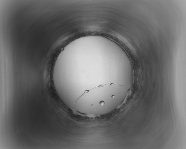 X0000102310872200808081603