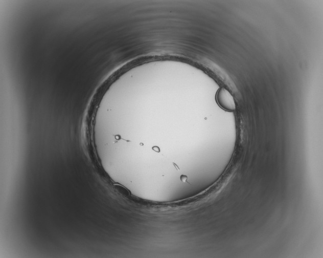 X0000102310876200808081603