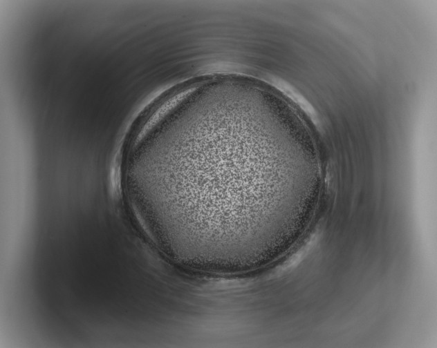 X0000102310877200808081603