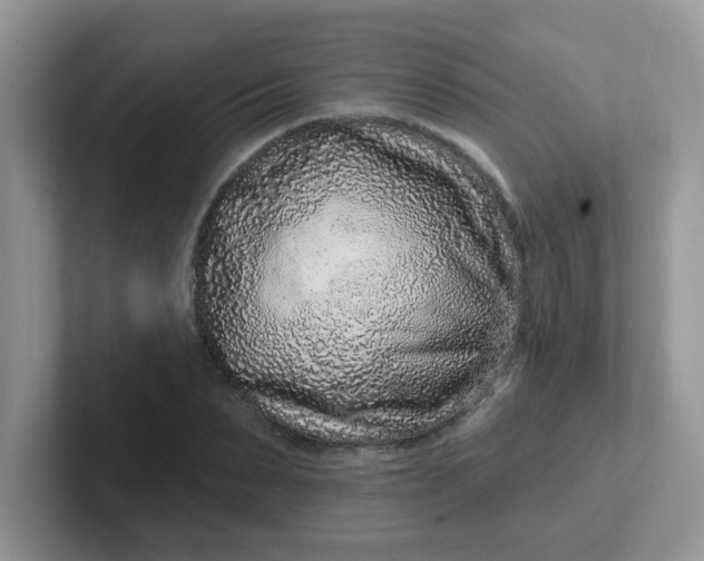 X0000102310879200808081603