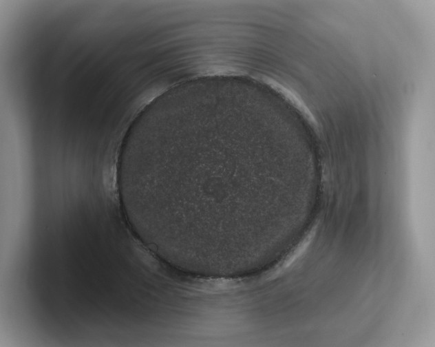 X0000102310881200808081603