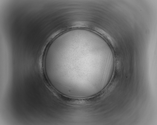 X0000102310882200808081603