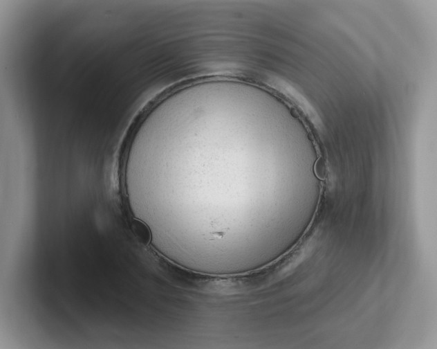 X0000102310883200808081603