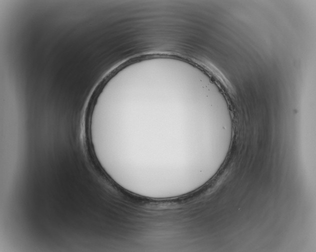 X0000102310884200808081603