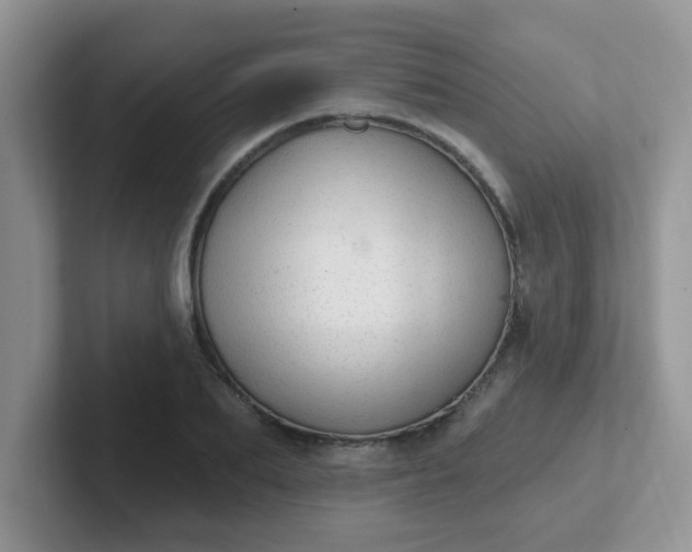 X0000102310887200808081603