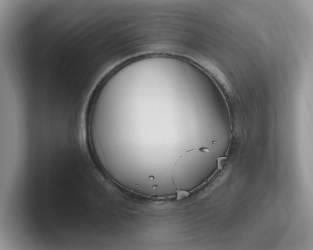 X0000102310888200808081603