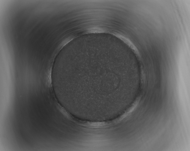 X0000102310889200808081603