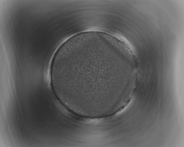 X0000102310892200808081603