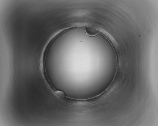 X0000102310894200808081603