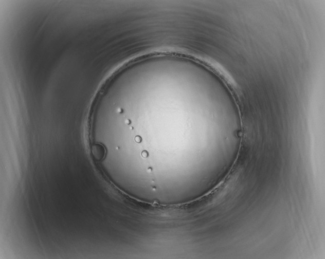 X0000102310895200808081603