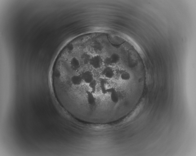 X0000102310899200808081603