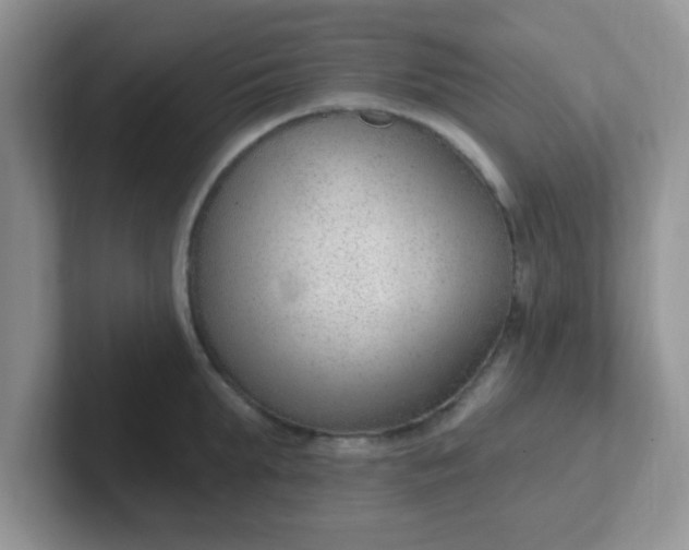 X0000102310903200808081603