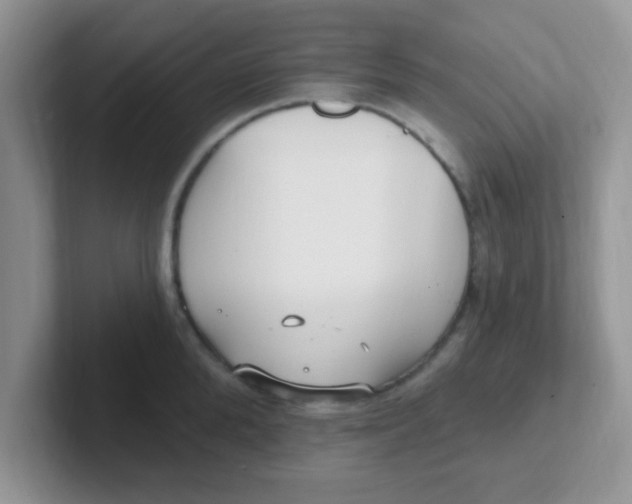 X0000102310904200808081603