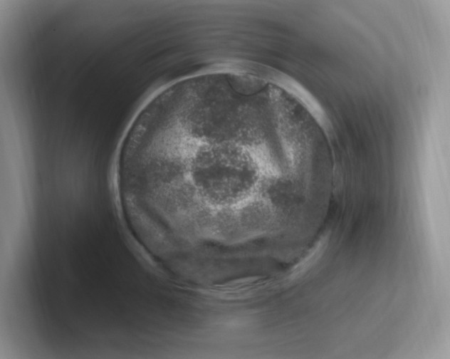 X0000102310907200808081603