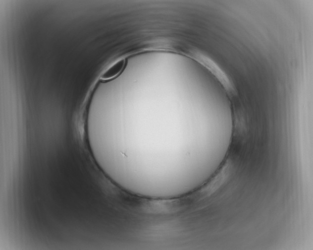 X0000102310908200808081603