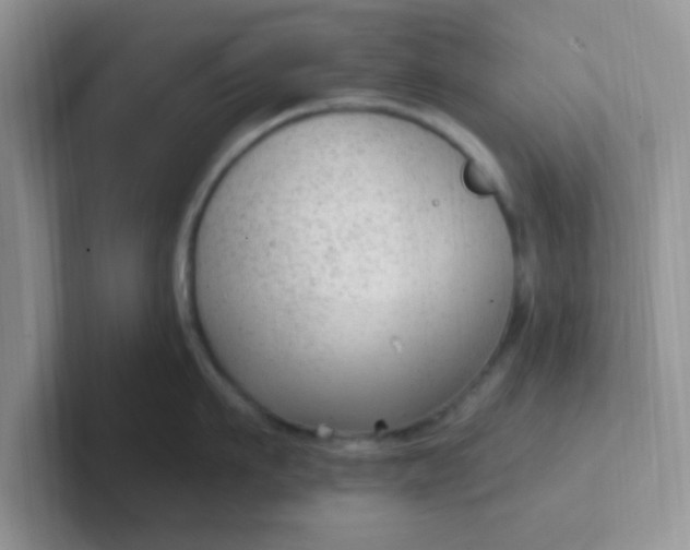 X0000102310911200808081603