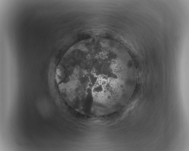 X0000102310913200808081602