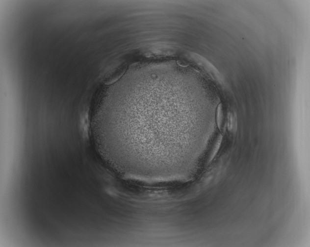 X0000102310915200808081602