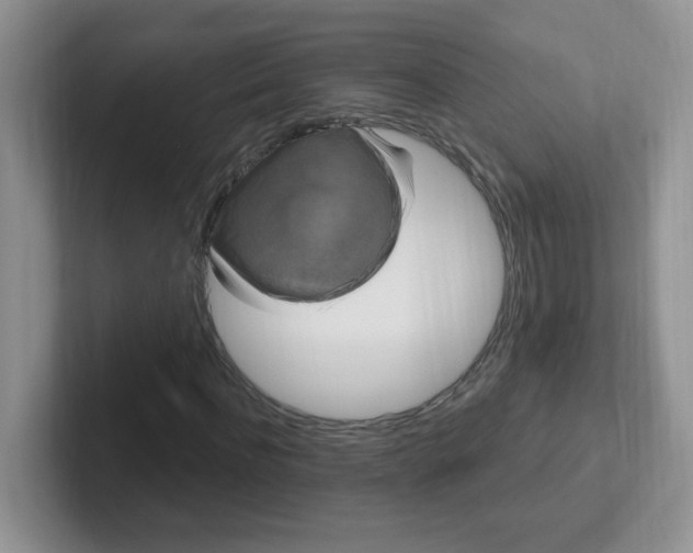 X0000102310916200808081602