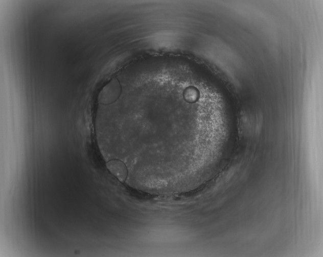 X0000102310918200808081602