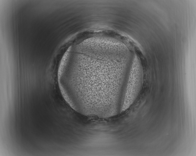 X0000102310919200808081602