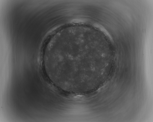 X0000102310920200808081602