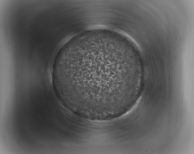 X0000102310921200808081602