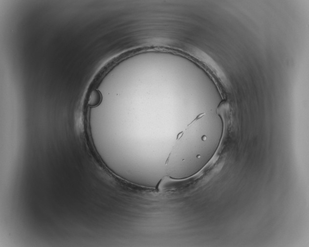 X0000102310924200808081602